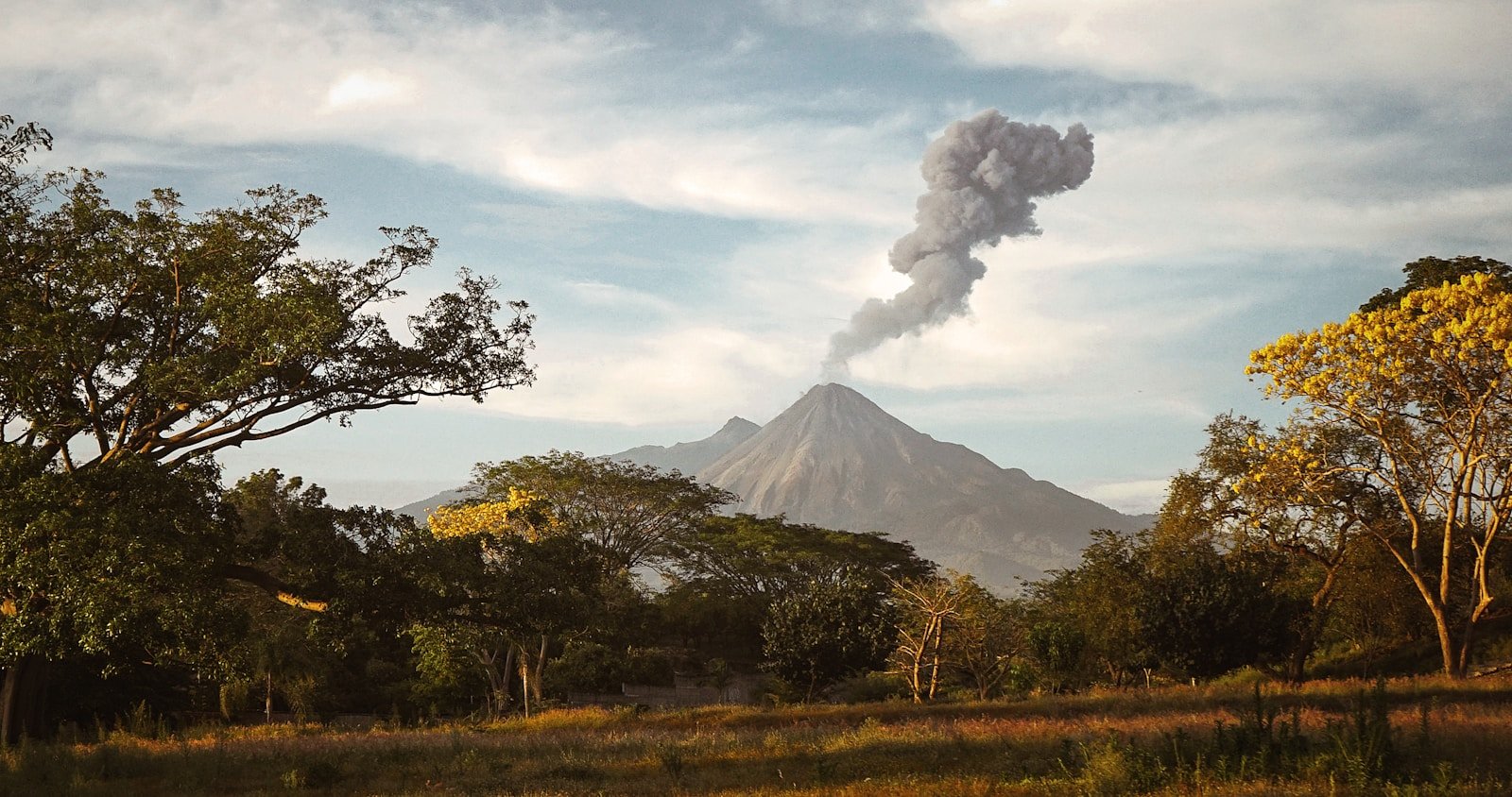 Discover How Greener Trees Really Predict Deadly Volcano Eruptions?