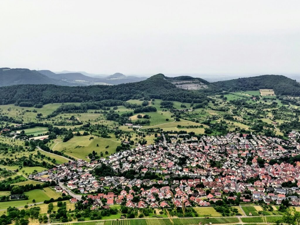 aerial view of green trees and mountains during daytime