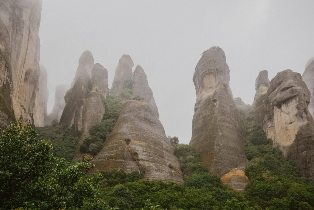 a group of rocks in the middle of a forest