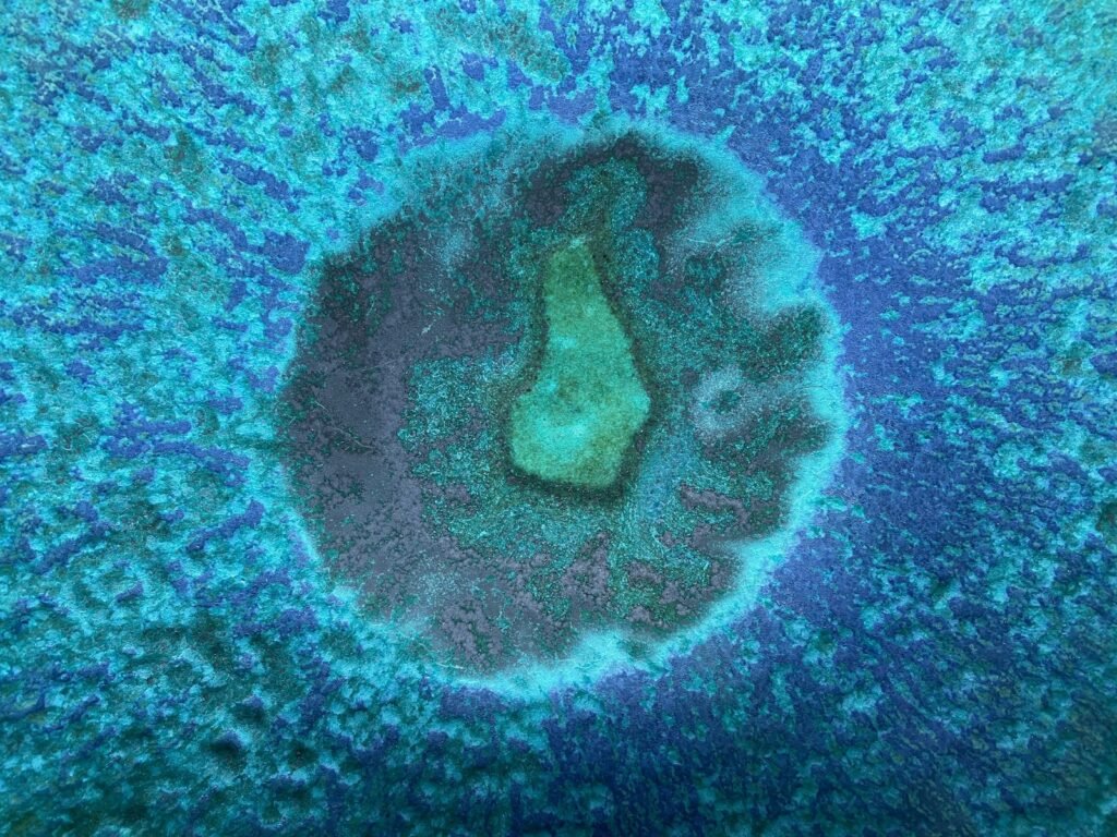 an aerial view of a blue and green coral