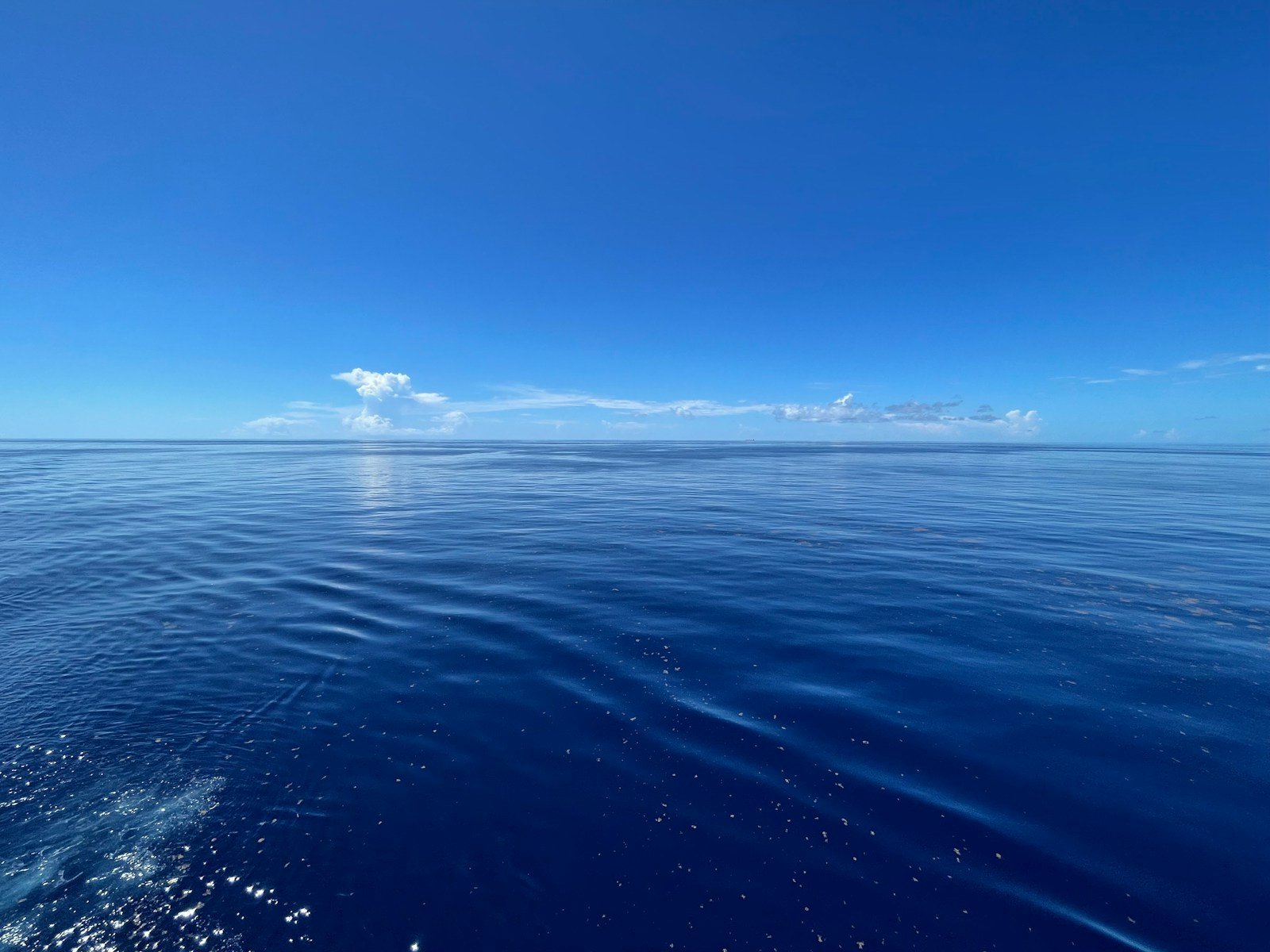 There’s a Hidden “Heartbeat” of Earth Beneath the Oceans