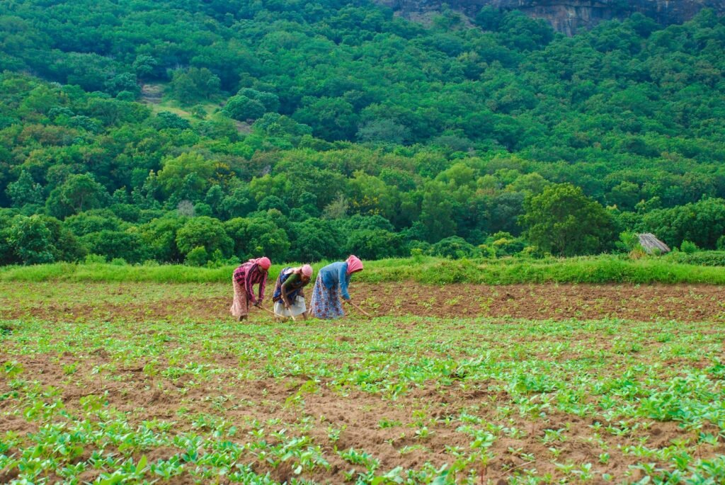 three person standing grass field