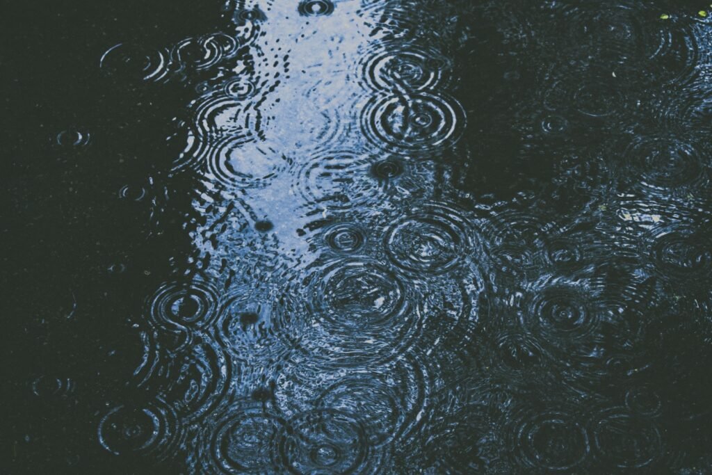 Rain droplets.