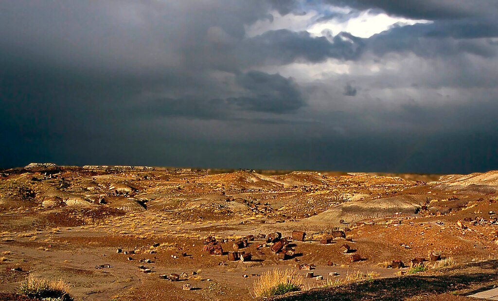 Petrified Forest National Park is located in northeastern Arizona, USA