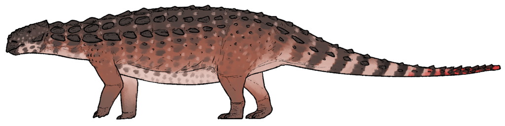 Zhongyuansaurus junchangi