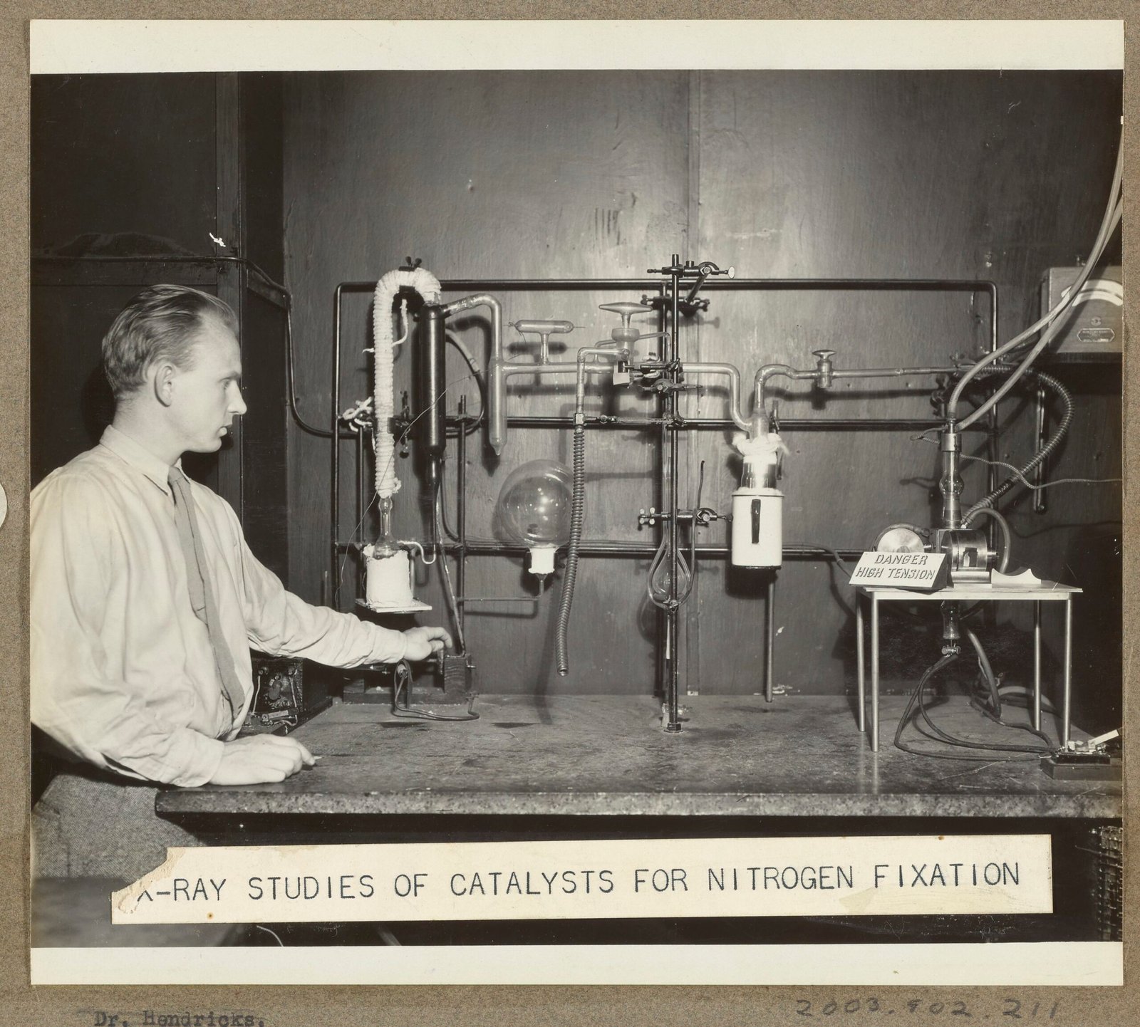 The Planet’s Nitrogen Engine Is Powered by Microscopic Life