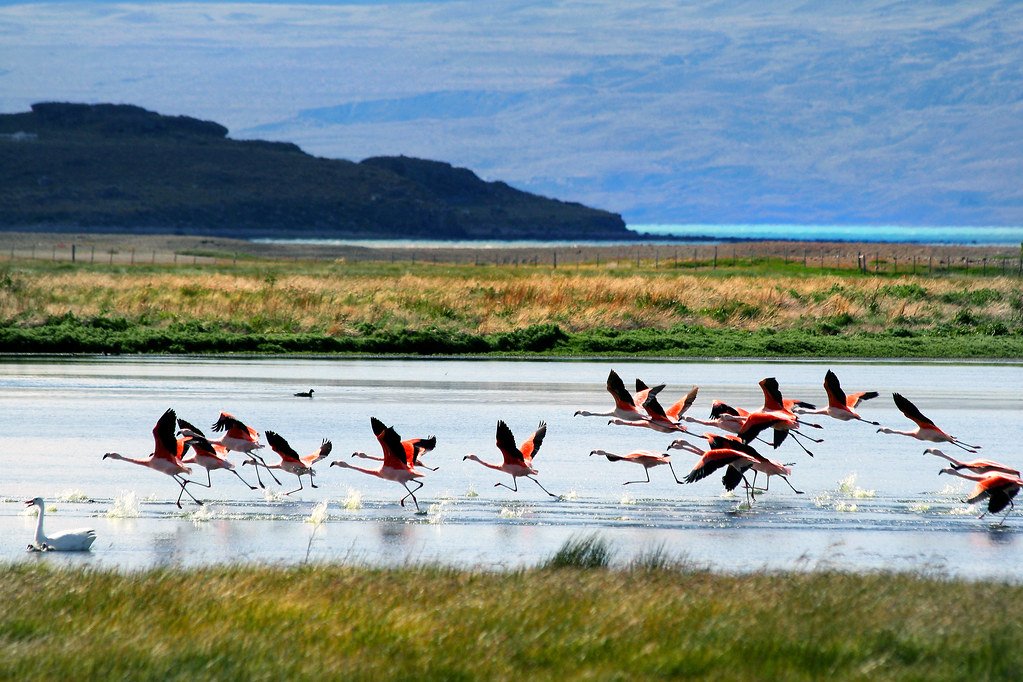 Water Depth Adaptation (image credits: flickr)