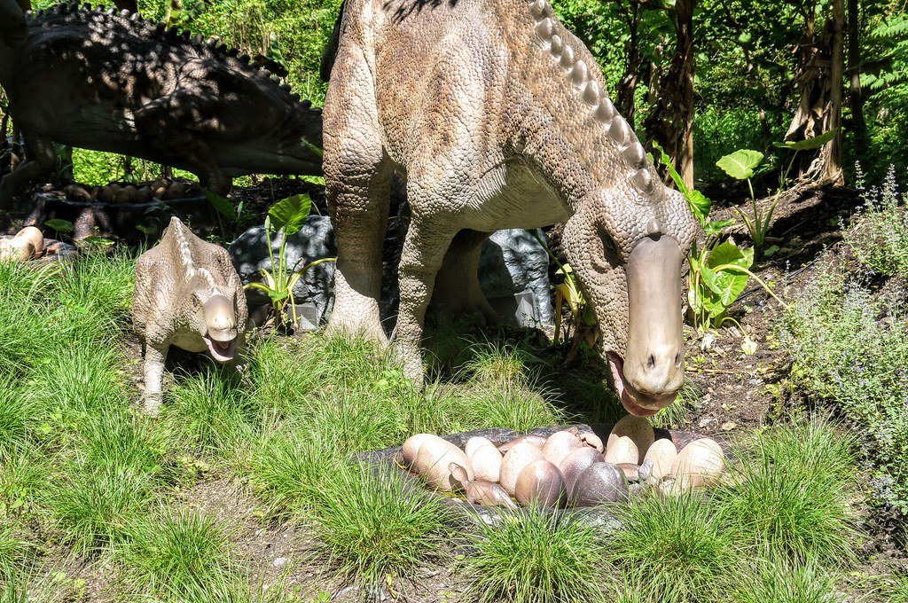 Meet Maiasaura: The Good Mother Lizard (image credits: flickr)