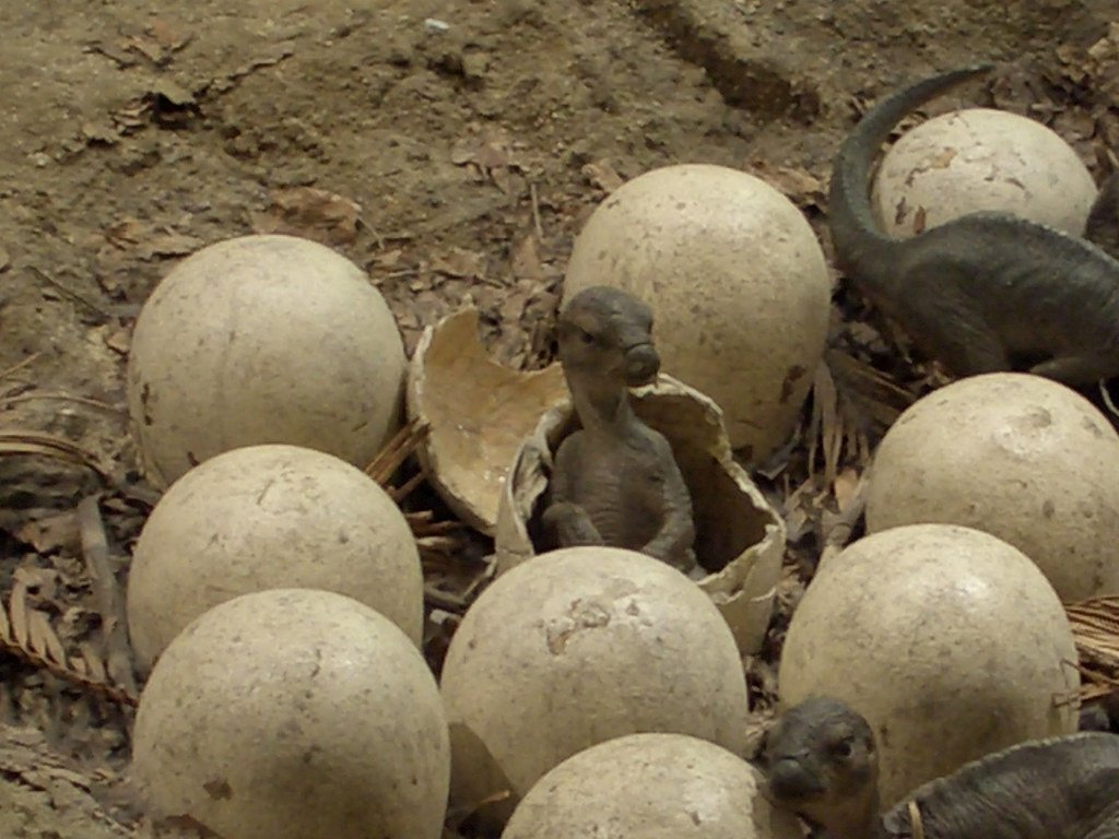 Architecture of Ancient Nurseries (image credits: flickr)