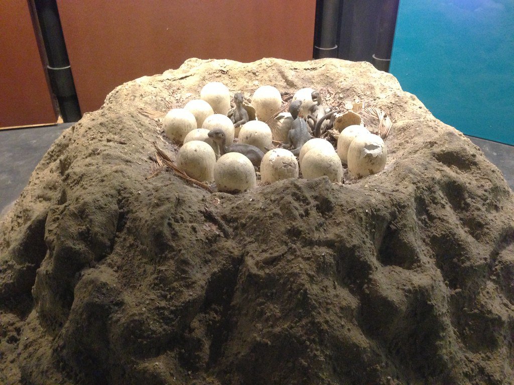 Evidence of Food Delivery Service (image credits: flickr)