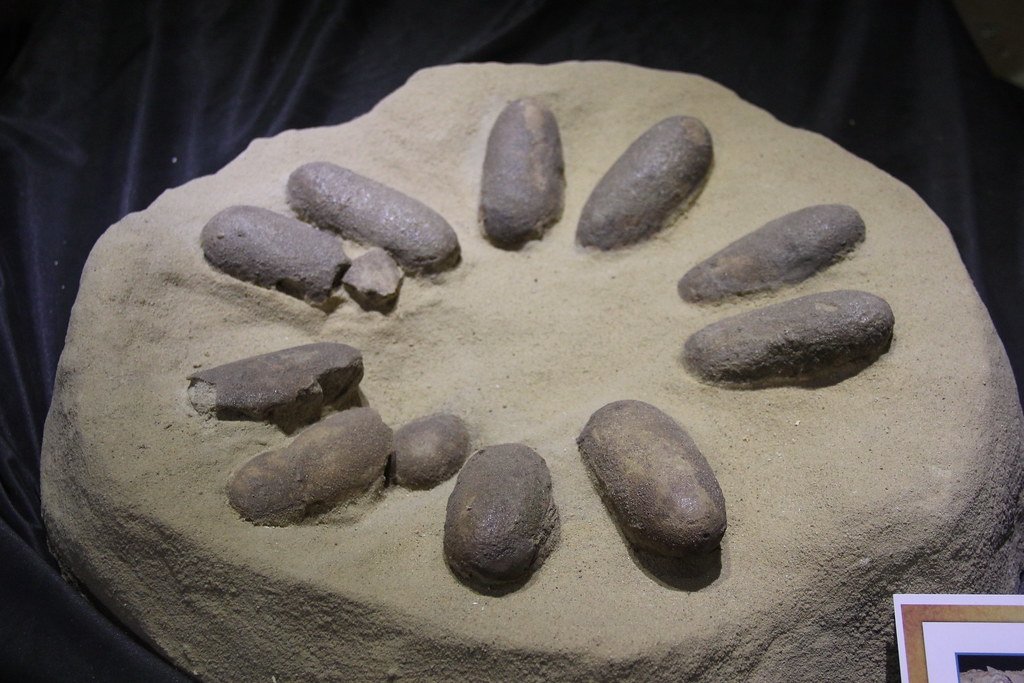 Temperature Control in the Cretaceous (image credits: flickr)