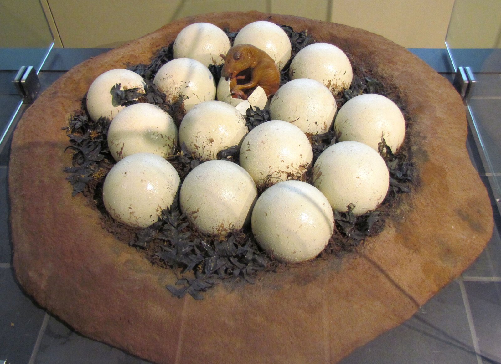 Seasonal Migrations and Family Planning (image credits: wikimedia)