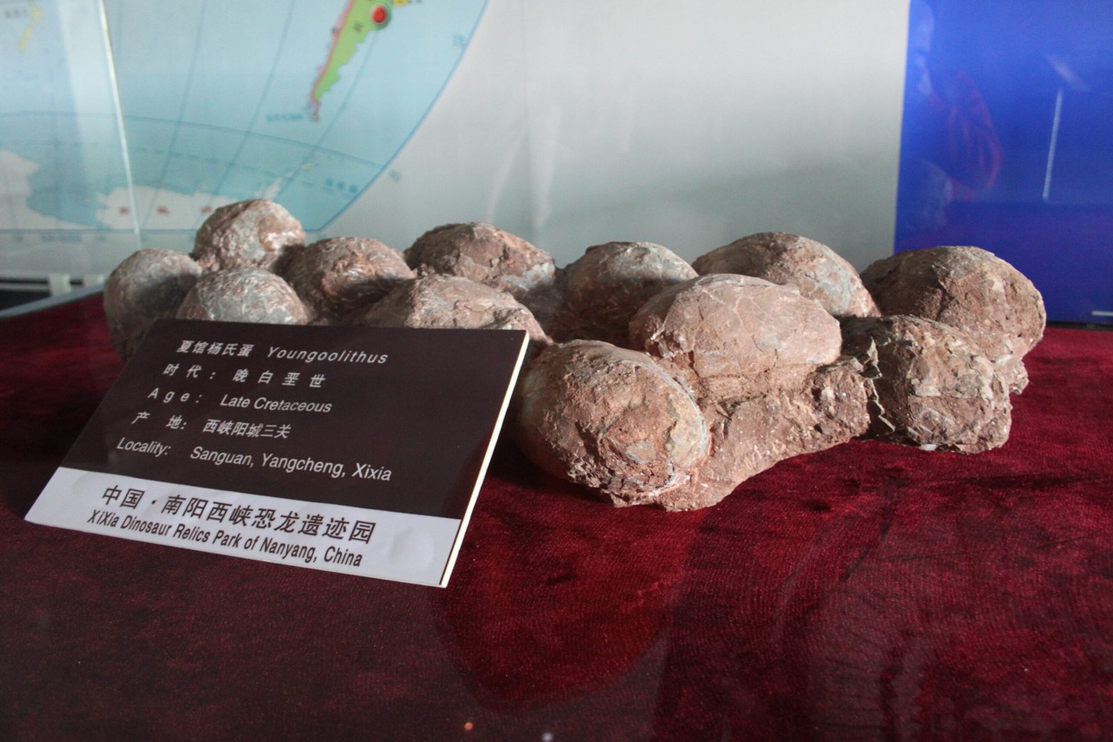 Sibling Dynamics in Stone (image credits: wikimedia)