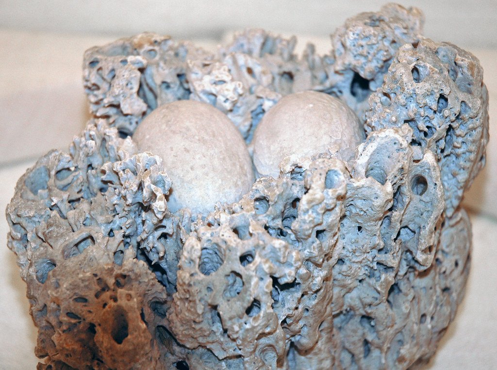 The Evolution of Dinosaur Parenting (image credits: flickr)