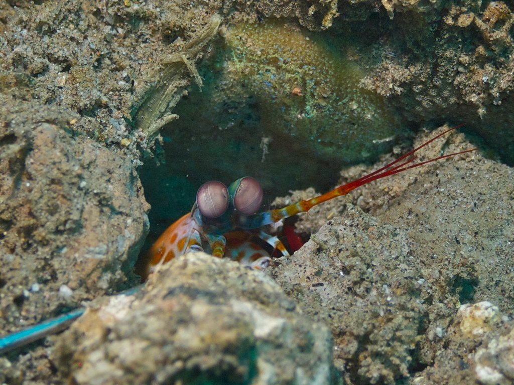 Conclusion (image credits: flickr)