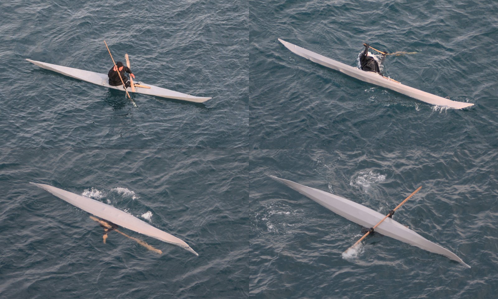 Indigenous Knowledge and Narwhal Traditions (image credits: wikimedia)