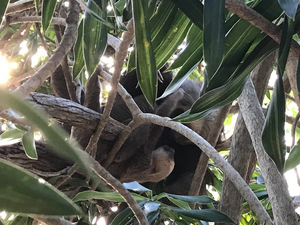 Climate Change and the Slow Lane (image credits: flickr)