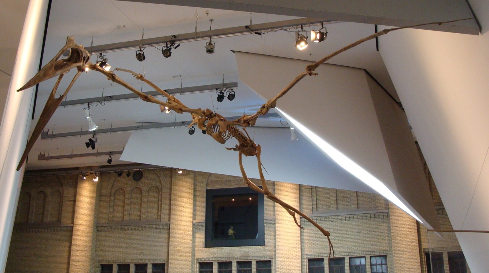 The Flying Giraffe: Quetzalcoatlus (image credits: wikimedia)