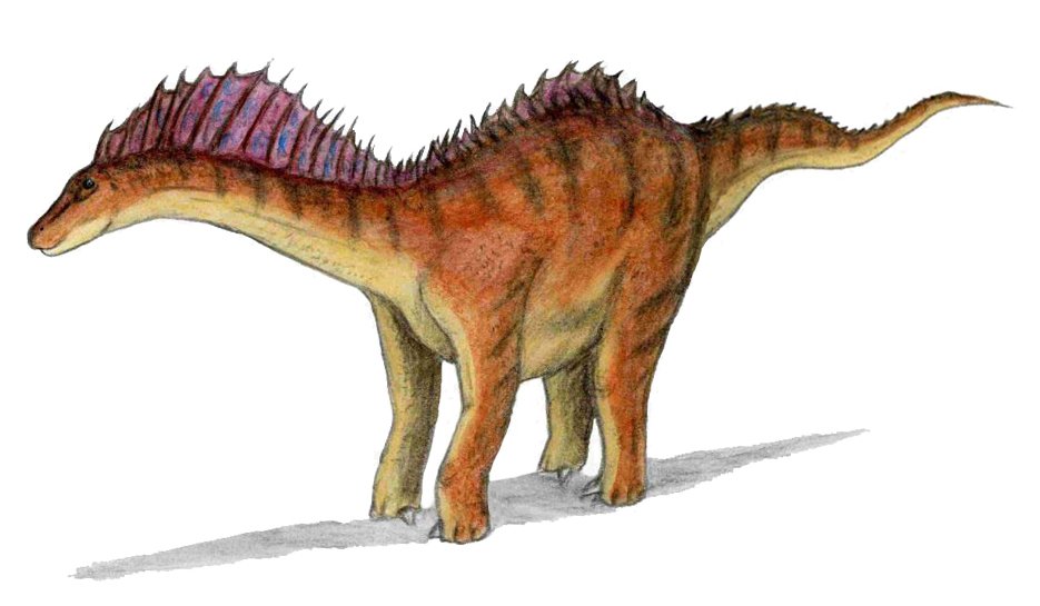 The Spiny Nightmare: Amargasaurus (image credits: wikimedia)