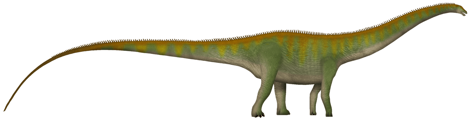The Gentle Giant's Weapon: Diplodocus (image credits: wikimedia)