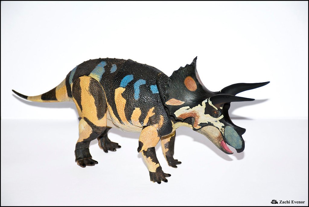 The Horned Contradiction: Triceratops (image credits: flickr)