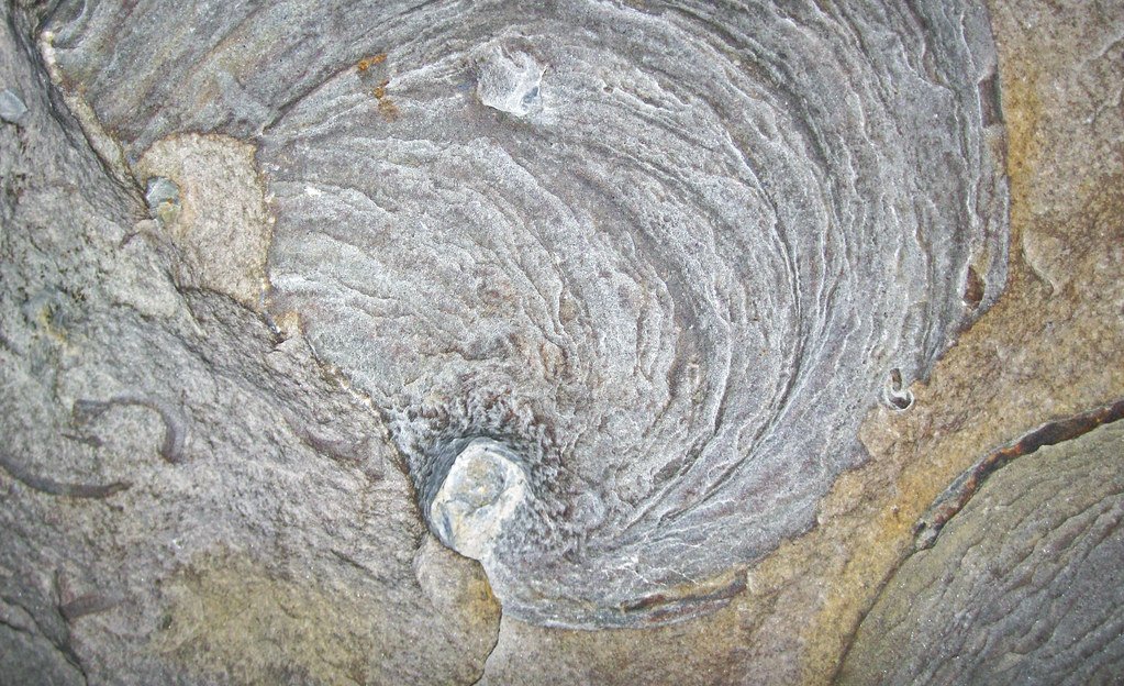 The Underground Chronicles (image credits: flickr)