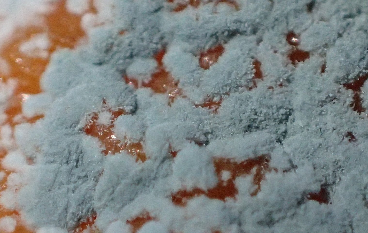 The Golden Discovery on Elm Street (image credits: wikimedia)