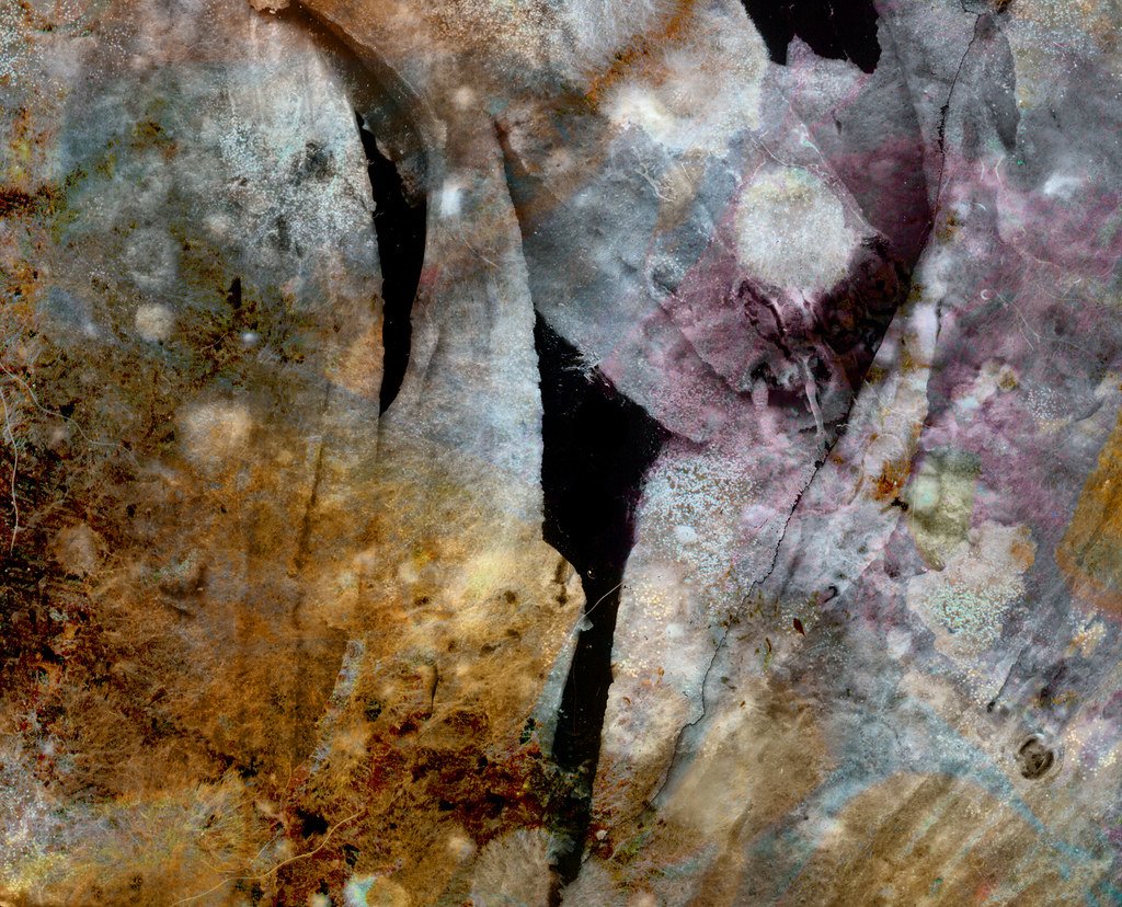 The Genetic Legacy (image credits: flickr)