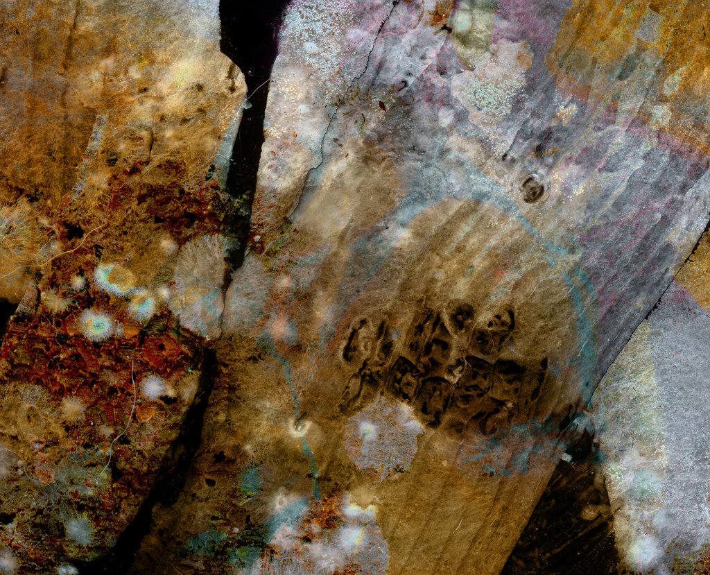 The Unsung Heroes of Medical History (image credits: flickr)