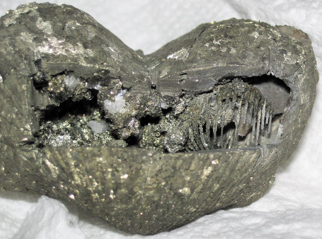 When Earth Became a Time Capsule (image credits: flickr)