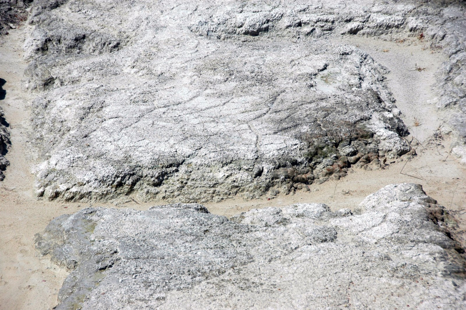 Volcanic Ash: Nature's Ultimate Preservative (image credits: wikimedia)