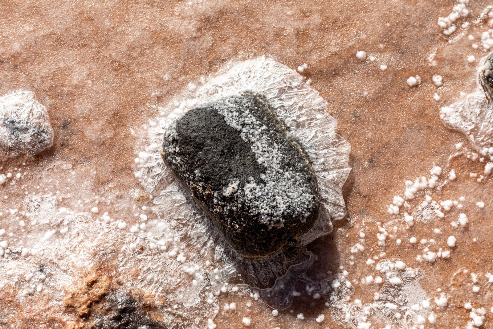 Salt Crystal Impressions: Echoes of Evaporating Seas (image credits: wikimedia)