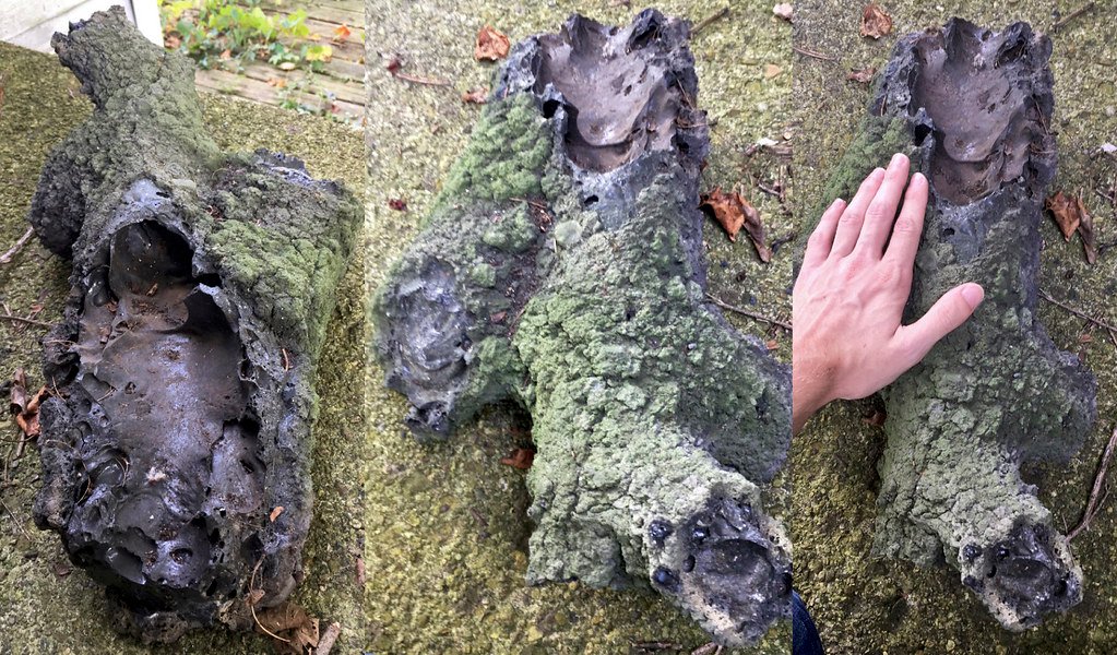 Lightning Strikes: Prehistoric Electrical Storms (image credits: flickr)