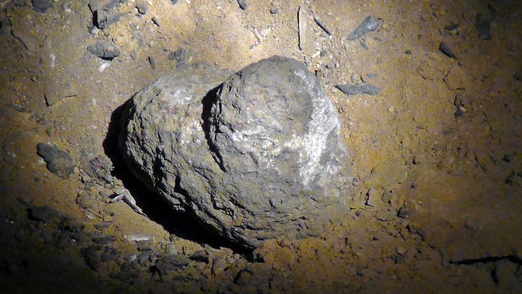 Desiccation Features: When Life Struggled (image credits: flickr)