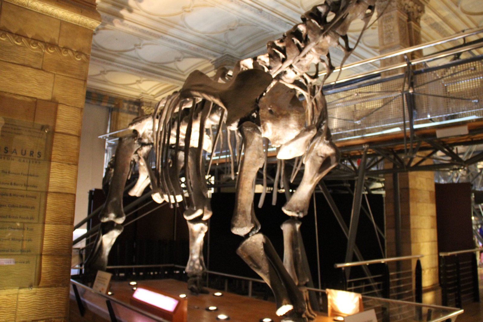 The Science Behind the Giants (image credits: Sauropod Skeleton, CC0, https://commons.wikimedia.org/w/index.php?curid=108814878)