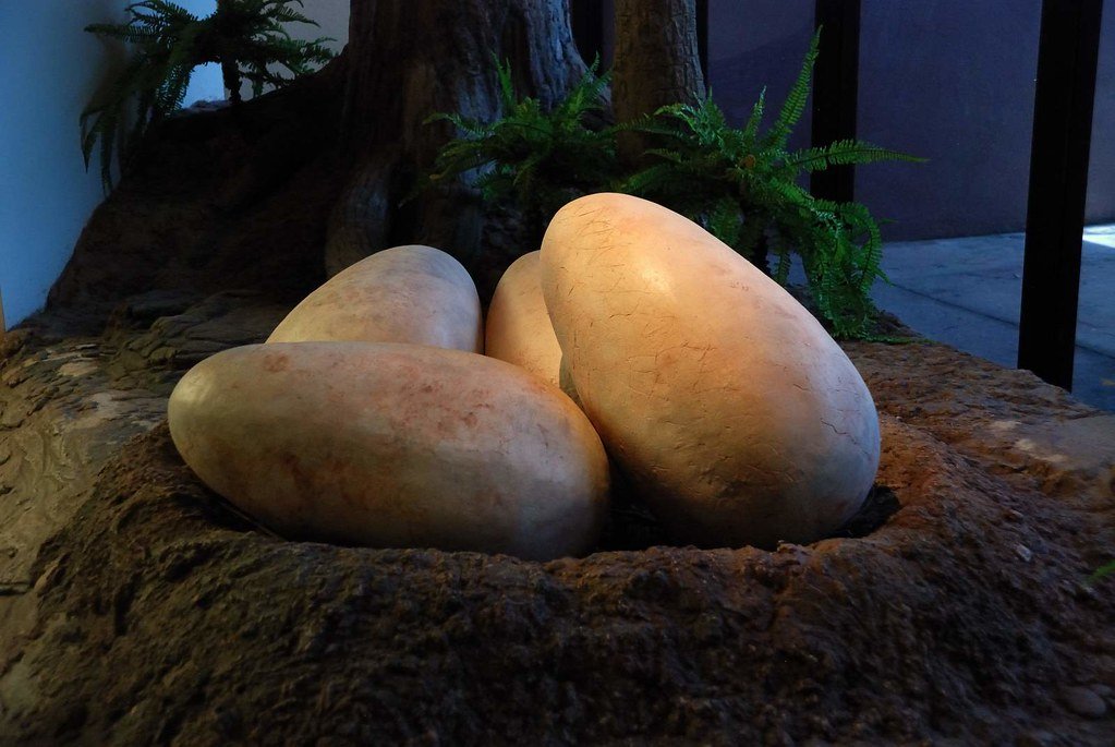 The Egg Mountain Discovery (image credits: flickr)