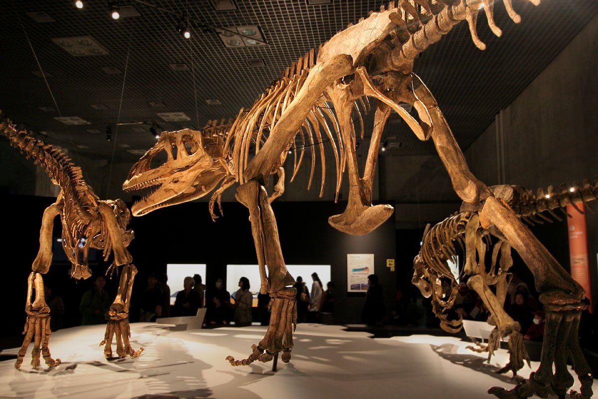The Mapusaurus Pack Hunters (image credits: Mapusaurus - 03Uploaded by FunkMonk, CC BY 2.0, https://commons.wikimedia.org/w/index.php?curid=8385143)
