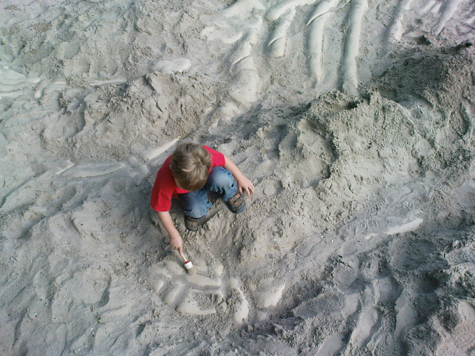 Technology Meets Paleontology (image credits: wikimedia)