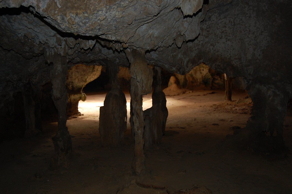 Cave Ecosystems: Life in the Dark (image credits: flickr)