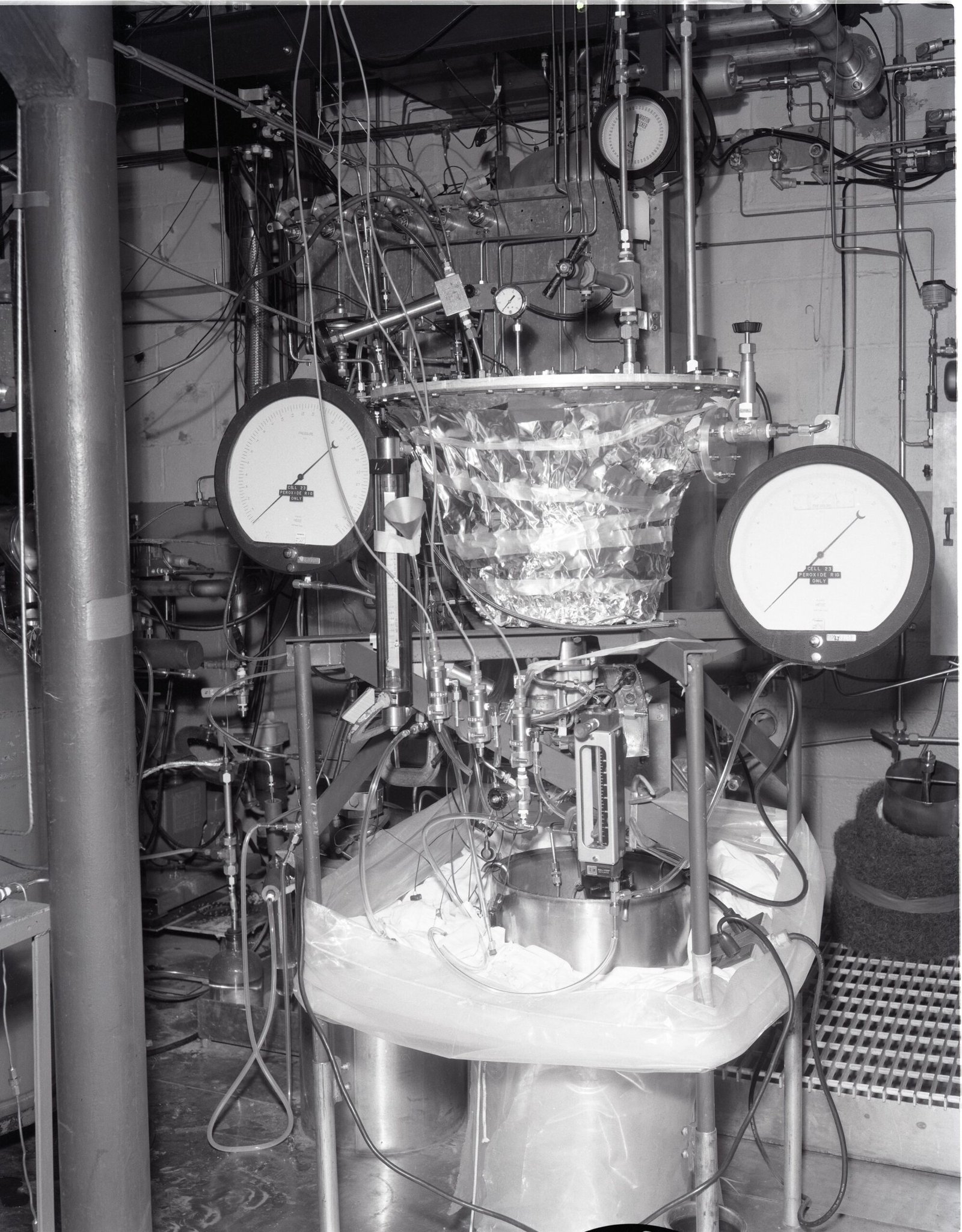 The Future of Oxygen Research and Longevity (image credits: wikimedia)