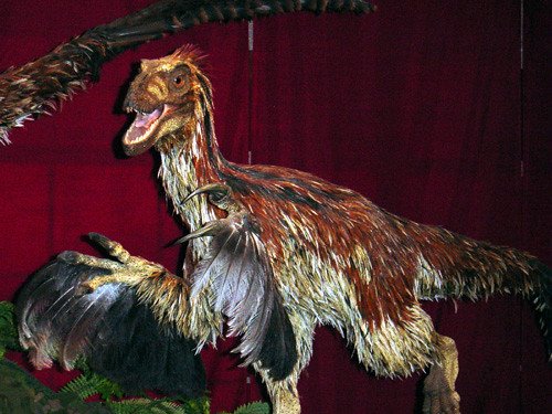 How Feathers Revolutionized Dinosaur Evolution (image credits: flickr)