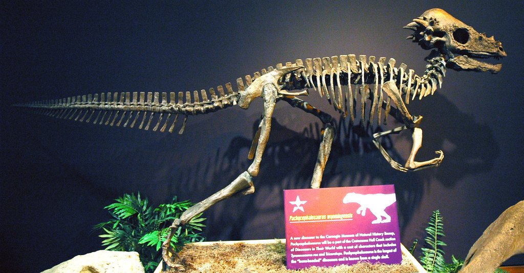 Redefining the Herbivore Arsenal (image credits: flickr)
