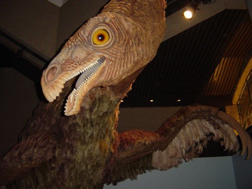 5 Fossils That Changed Everything We Thought We Knew About Dinosaurs