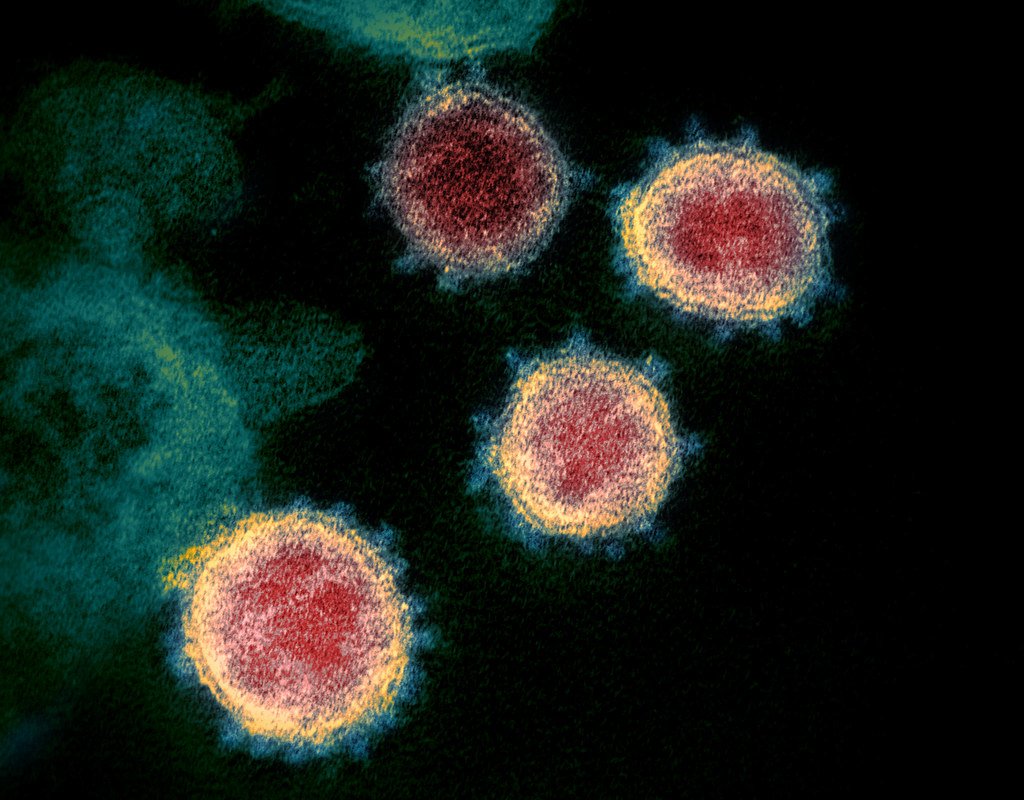 Laboratory Breakthroughs in Cellular Reconstruction (image credits: flickr)