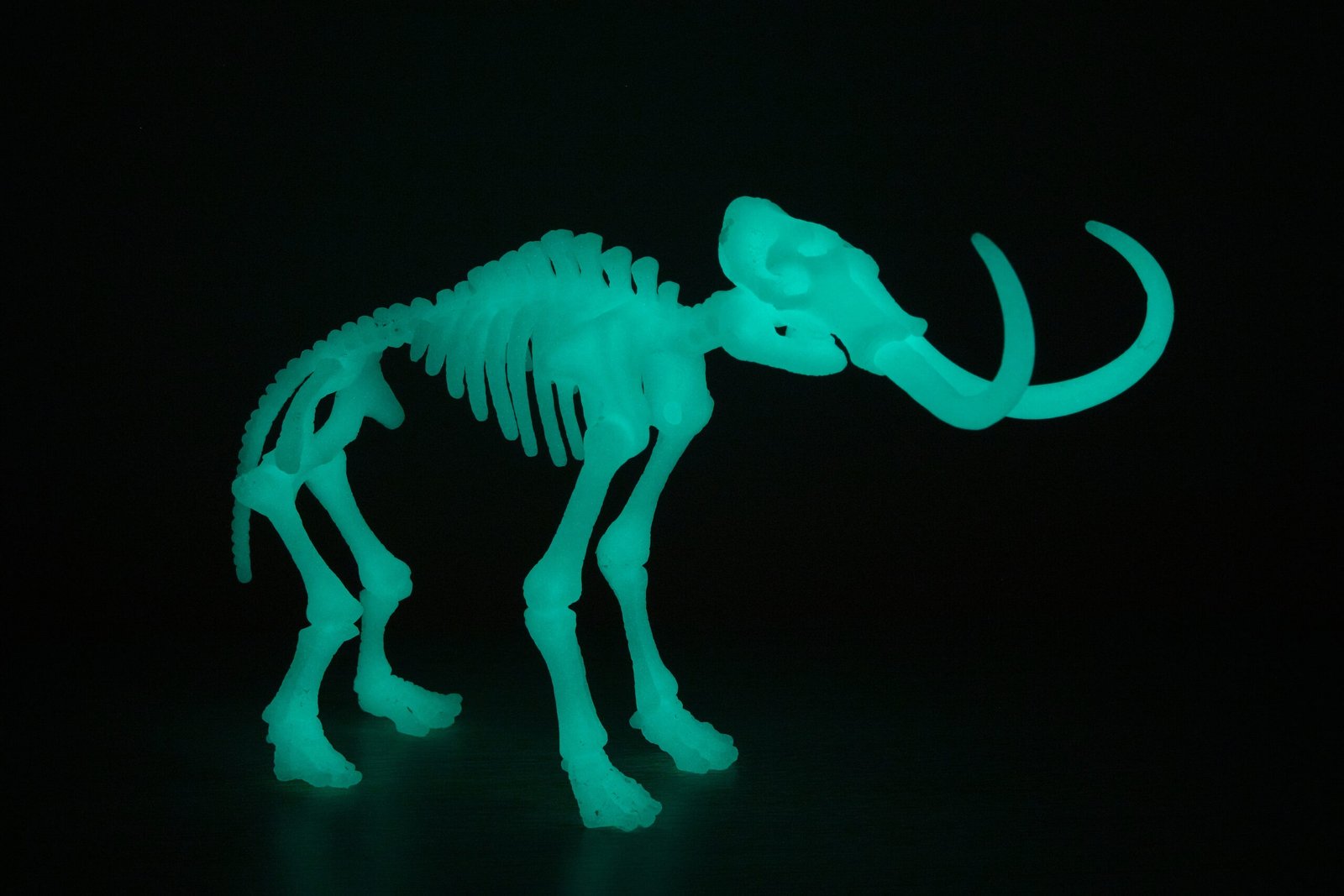 Ethical Debates Surrounding De-Extinction (image credits: wikimedia)