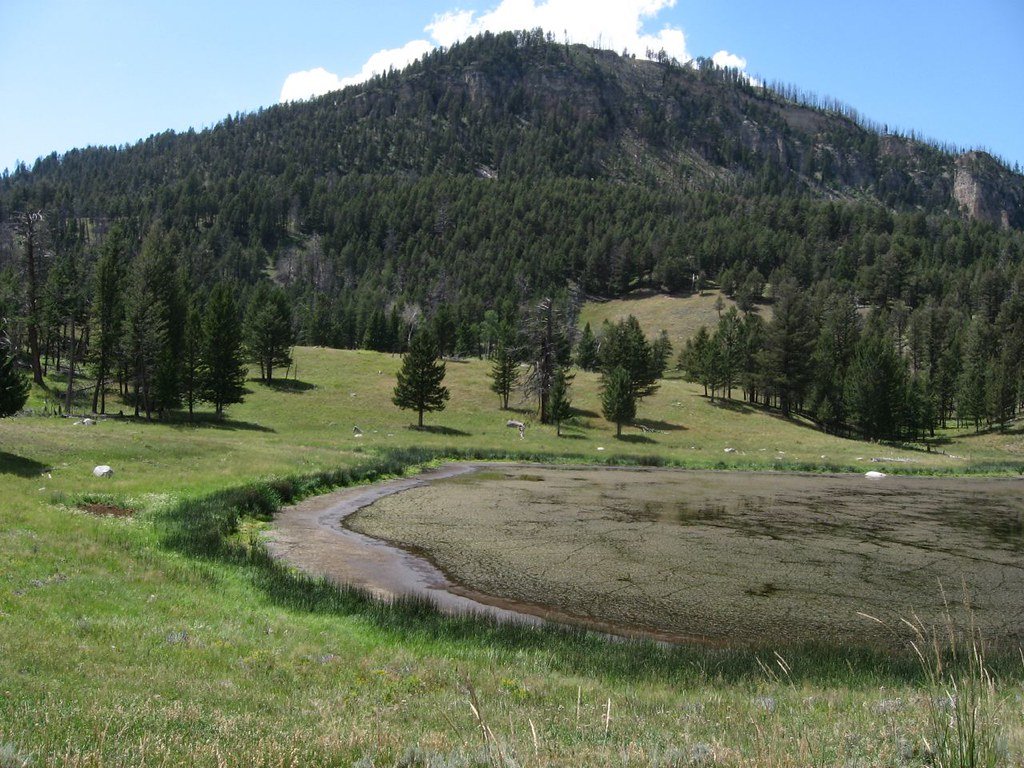Climate Change Mitigation Potential (image credits: flickr)