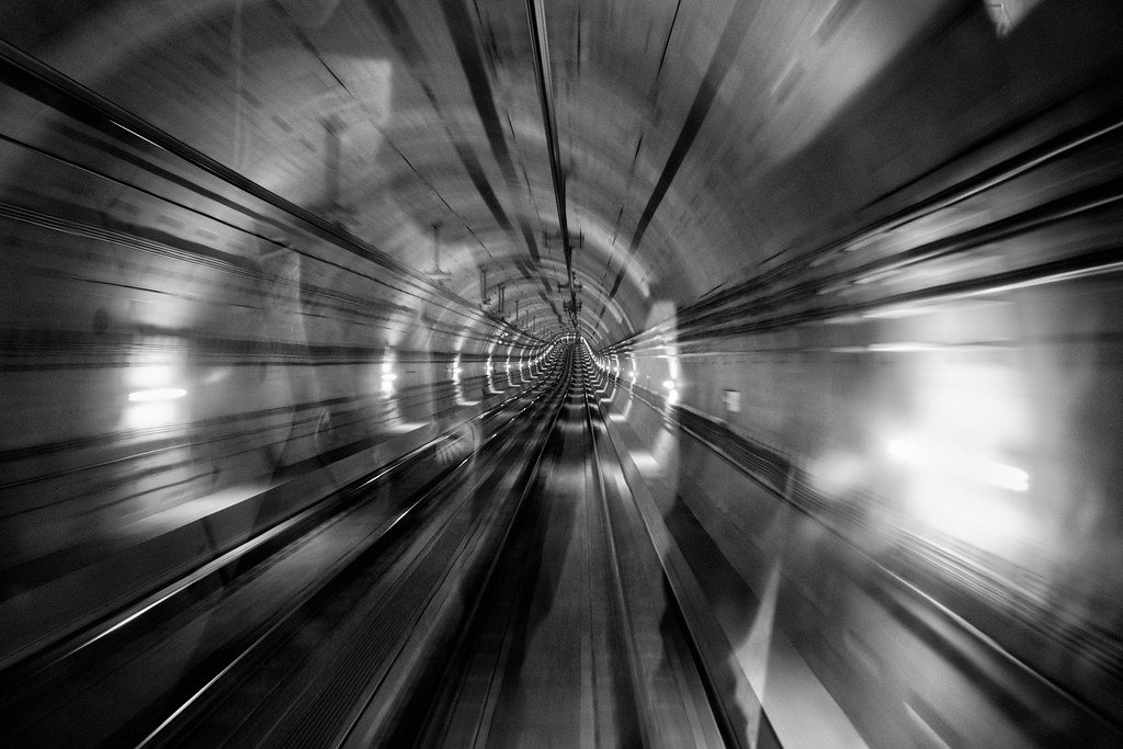 The Birth of Denver's Reptilian Underground (image credits: flickr)