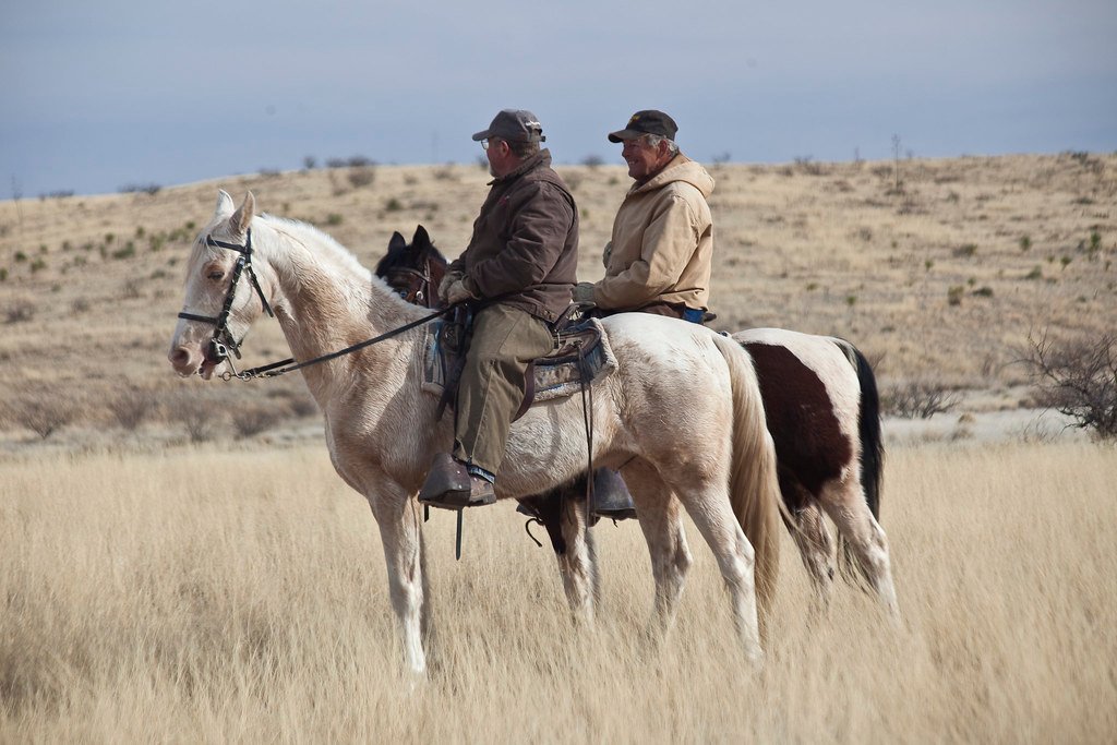 Working Animals Creating Economic Incentives for Conservation (image credits: flickr)