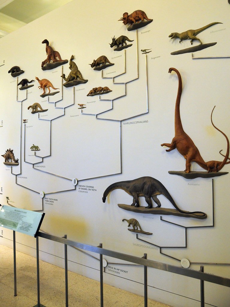 Evolutionary Context: Placing Dinosaurs in the Tree of Life (image credits: flickr)