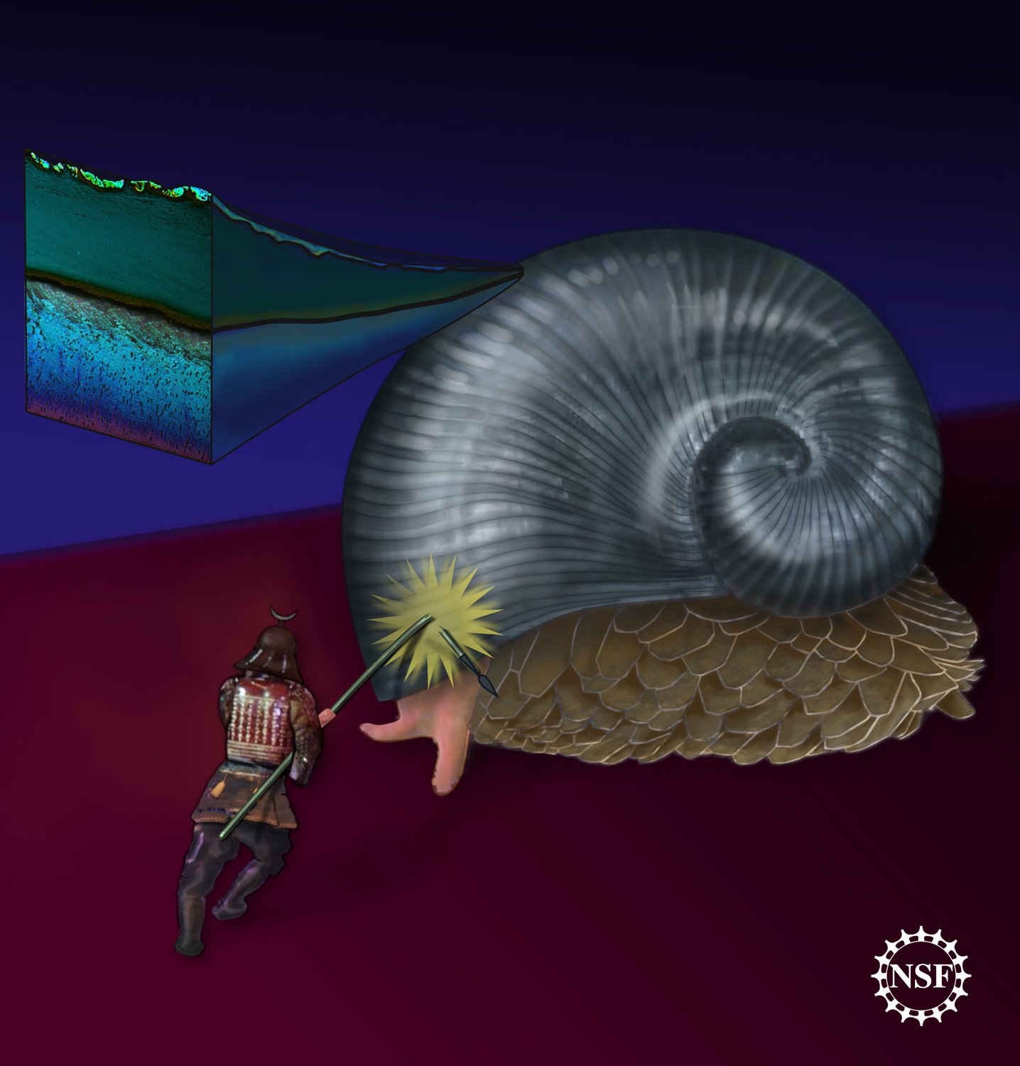 Magnetic Properties That Baffle Scientists (image credits: By Zina Deretsky, National Science Foundation, inset after Haimin Yao et al., PNAS, January 2010, Public domain, https://commons.wikimedia.org/w/index.php?curid=10541626)